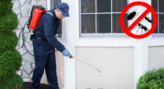 Alaca Bit İlaçlama böcek ilaçlama ve haşere kontrolü — ilaclama-tr.com